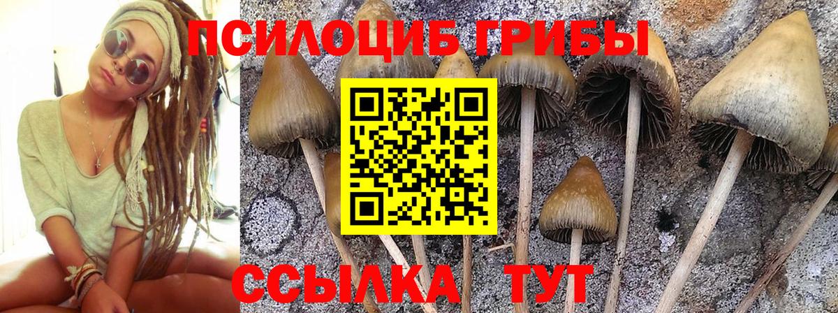 Псилоцибиновые грибы GOLDEN TEACHER Вязьма