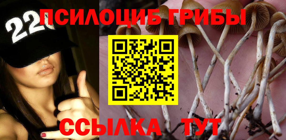 Псилоцибиновые грибы Cubensis  Вход с VPN  Вязьма 